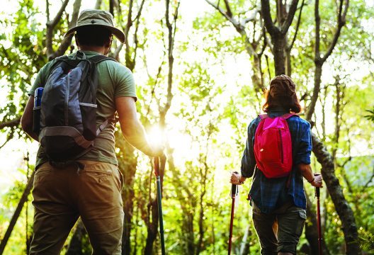Couple trekking together