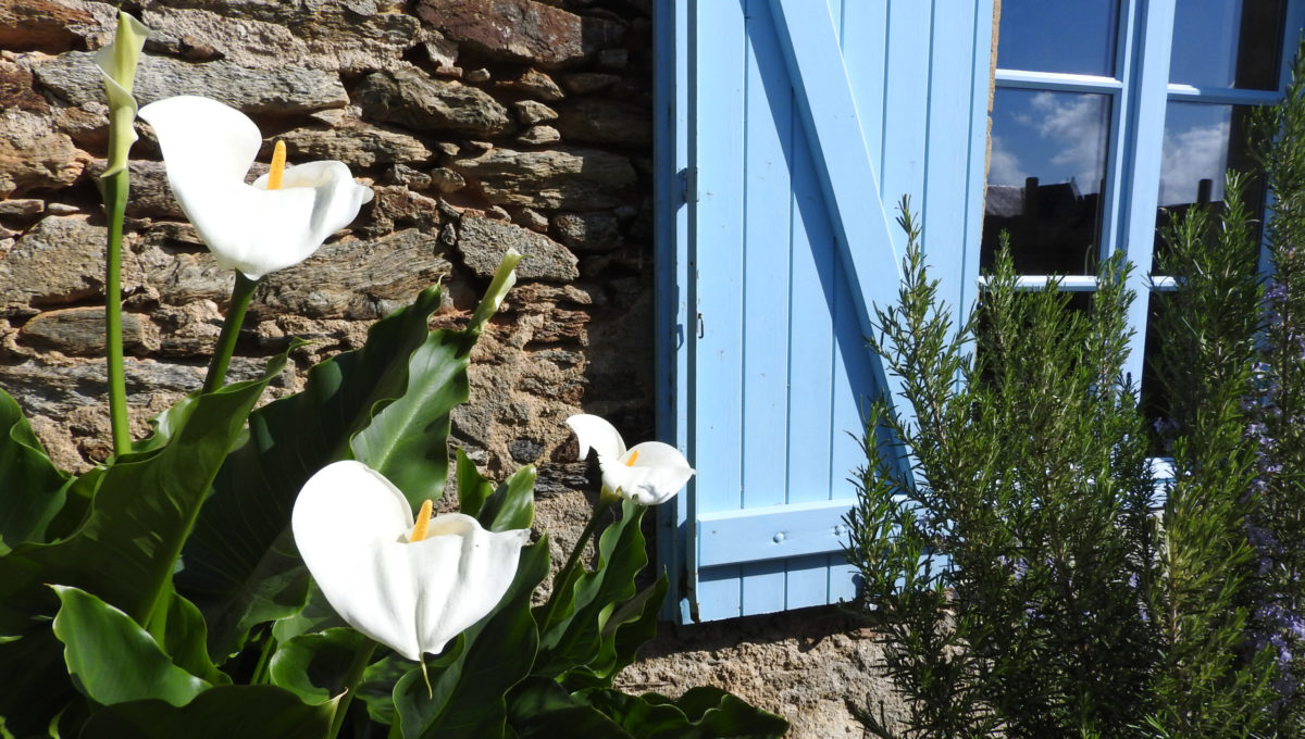 1200x680-fleurs-chateau