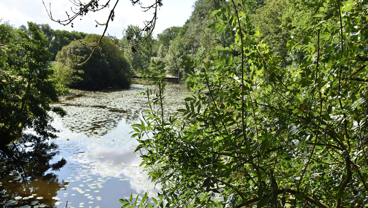 1200x680-20190731-Memorial_Les-Lucs (83)©OTVB