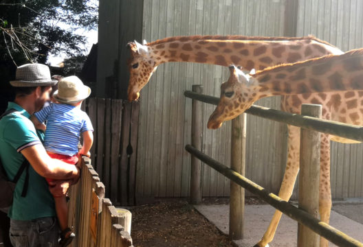 Zoo des Sables d'Olonnes