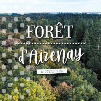 360x360-Foret-Aizenay