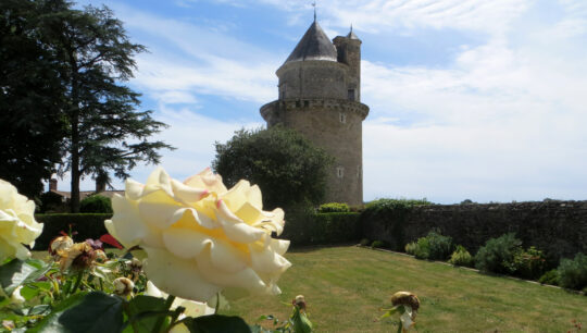 1200x680-cour-chateau©OTVB