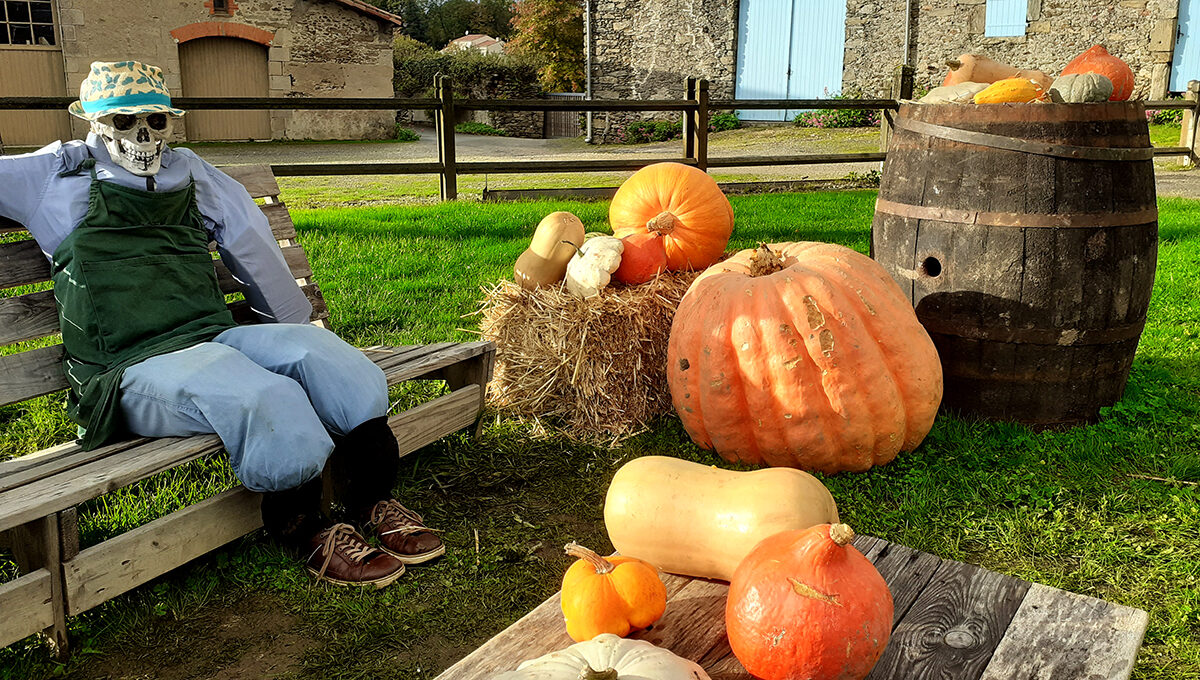 1200x680-Halloween-2019©OTVB