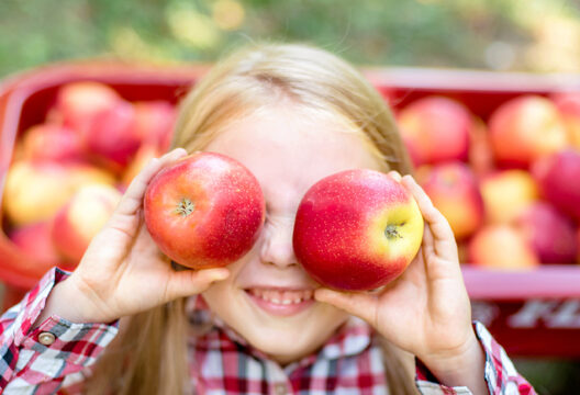 girl-with-apple-in-the-apple-orchard-beautiful-girl-eating-organic-apple-in-the-orchard-harvest-concept-garden-toddler-eating-fruits-at-fall-harvest
