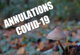 528x360-Annulations-Covid-2020©CCVB