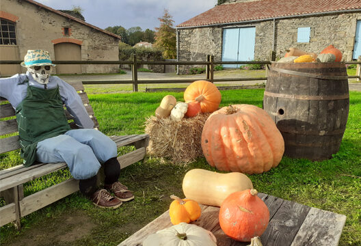 528x360 Halloween_château @CCVB