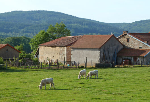 528x360 agritourisme @ Adobe stock