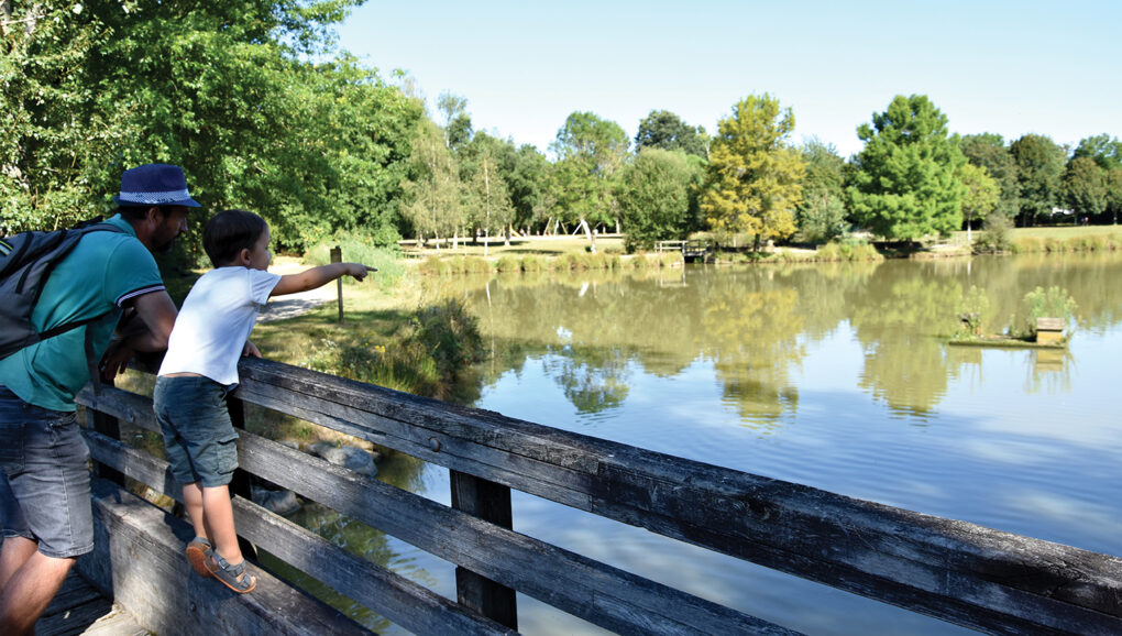 1200x680-Parc des engoulevents © Nathalie Guilbaud