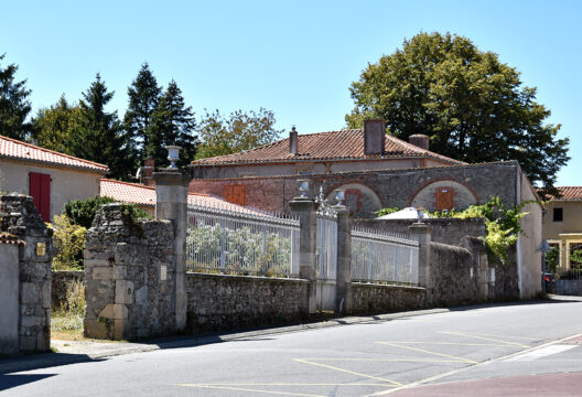 528x360-Graine_aventurier_Saint_Paul (1)