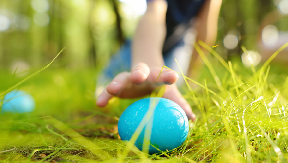 little-boy-hunting-for-egg-in-spring-garden-on-easter-day-traditional-easter-festival-outdoors-focus-on-multicolor-eggs