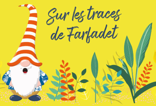 528x360-farfadet