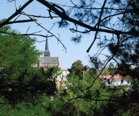 visite-guidee-poire-sur-vie