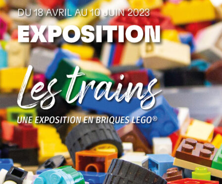 expo-brick-event-lego