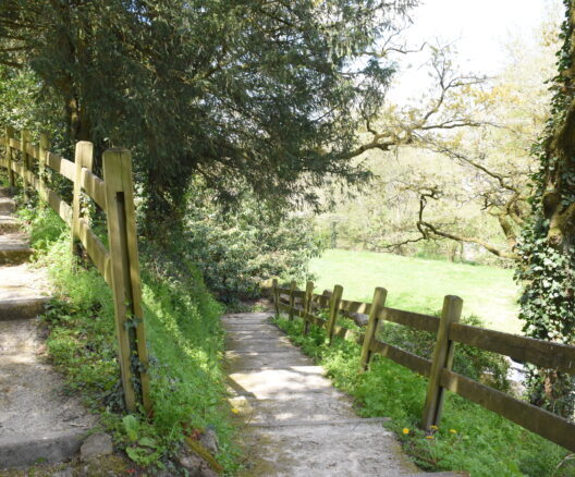visite-guidee-poire-sur-vie