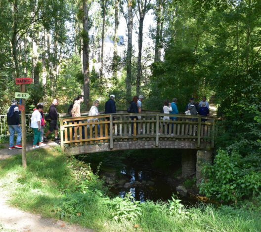 visite-guidee