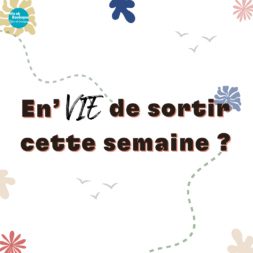 Newsletter été