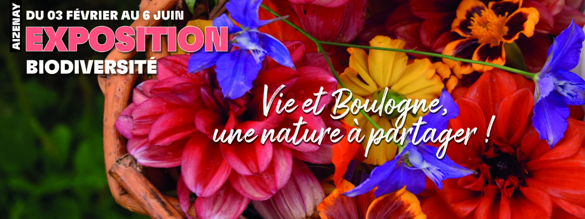 bannière_FB_expo_biodiversité