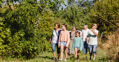 En visites ! Programme 2026