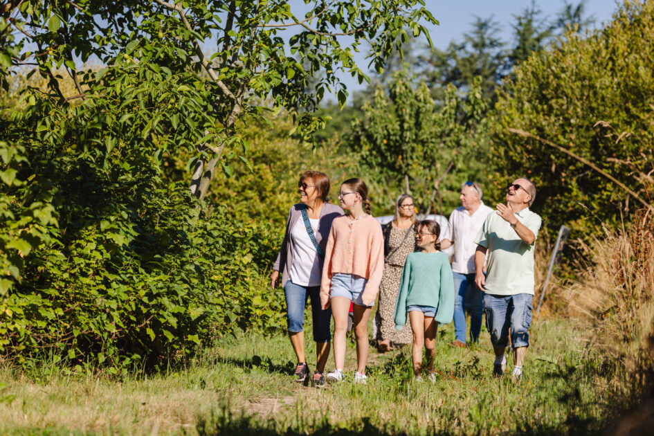 En visites ! Programme 2026