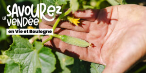 magasins à la ferme